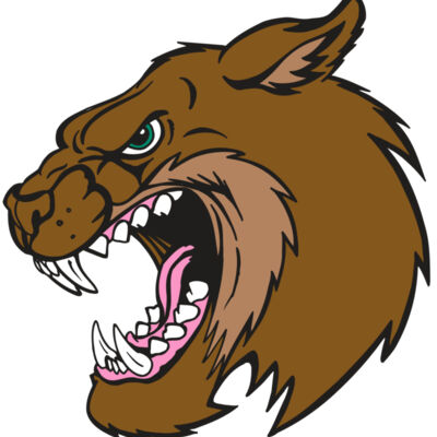 AR5 BOBCAT 18 RQC Thumbnail