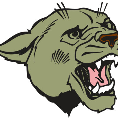 AR COUGAR 40 RC Thumbnail