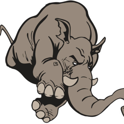 AR5 Elephant 17 RQC Thumbnail