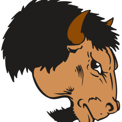 AR BUFFALO 16 RC Thumbnail