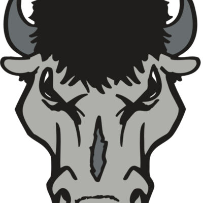 AR BUFFALO 15 RC Thumbnail