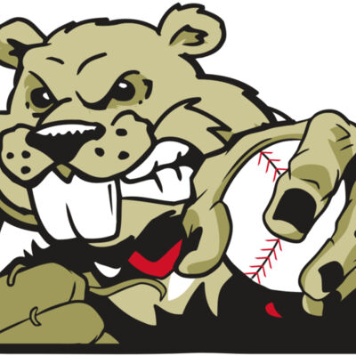 AR4 BEAVER 06 RQC Thumbnail