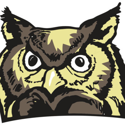 AR OWL 10 RC Thumbnail