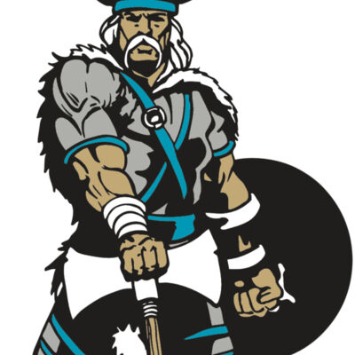 AR VIKING 41 RC Thumbnail