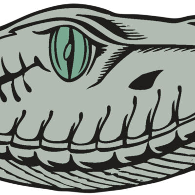 BAW SNAKE 10 RC Thumbnail