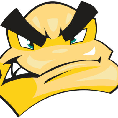 SCORPION HD0501 RQC Thumbnail