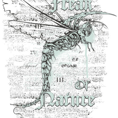 designious t shirt design 361 Thumbnail